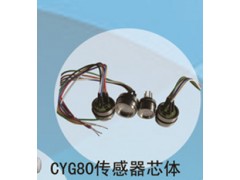兆恒傳感器廠價供應CYG80傳感器芯體