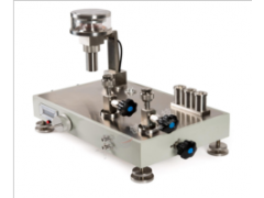 創(chuàng)威科技 廠價直銷  氣體活塞式壓力