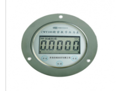 創(chuàng)威科技 廠價直銷安裝盤軸向數(shù)字壓