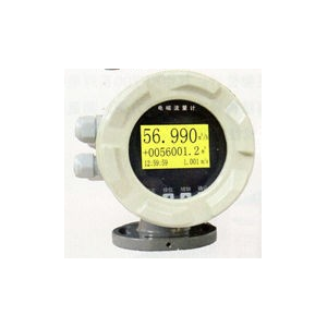 杭州通聯(lián)自動(dòng)化供應(yīng) 電磁流量計(jì)表