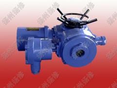 多回轉(zhuǎn)電動(dòng)執(zhí)行器DZW10 DZW20 DZW30