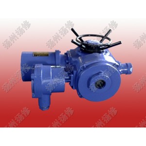 多回轉(zhuǎn)電動執(zhí)行器DZW10 DZW20 DZW30