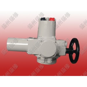 智能型電動執(zhí)行器F-DQW10 扭矩100NM