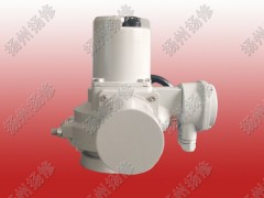 調(diào)節(jié)型電動頭DQW20-WT DQTZ30