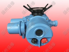 整體調節(jié)型電動執(zhí)行器DZW120-WT DZT
