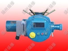 Z型智能型F-DZW10多回轉非侵入式電