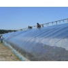 山東優(yōu)惠的溫室大棚，溫室大棚膜廠家