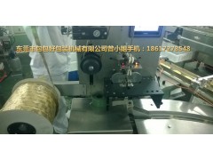 甘肅受歡迎的調(diào)味料投包機-包包好包