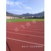 江西省新余市塑膠跑道|塑膠跑道廠家價(jià)格|塑膠跑道材料