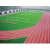 云南省玉溪市專業(yè)學(xué)校操場(chǎng)運(yùn)動(dòng)場(chǎng)透氣型塑、人造草坪