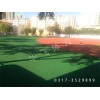 湖南省湘潭市塑膠跑道|塑膠跑道廠家價(jià)格|塑膠跑道材料
