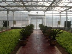 happy生態(tài)餐廳溫室專業(yè)建設(shè)，山東草