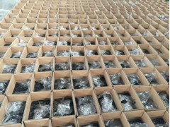 遼寧灌縫膠|批發(fā)供應廠商熠道科技值