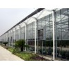南京玻璃溫室報價