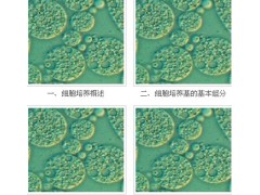 宜興賽爾生物提供宜興細胞培養(yǎng)基，