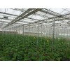 青海陽(yáng)光板溫室大棚——哪里的溫室大棚口碑好
