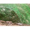 河北優(yōu)良的包塑邊坡防護網 山東包塑邊坡防護網