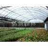 優(yōu)質(zhì)花卉溫室建設(shè)——花卉專用溫室大棚建設(shè)