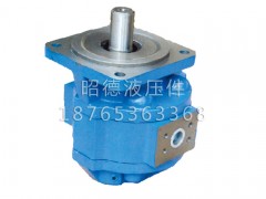 【現(xiàn)貨！】【廈工XG951裝載機(jī)轉(zhuǎn)向泵