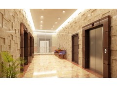 優(yōu)質(zhì)的石家莊醫(yī)院電梯安裝改造河北