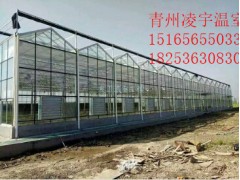 專業(yè)的溫室制造專家-智能溫室制造專