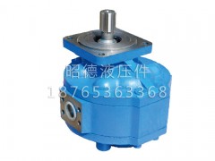 【廈工XG953裝載機工作泵CBG3100齒