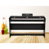 錦樂電子專業(yè)供應凱麗德鋼琴，報價合理的電子鋼琴