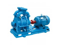 弘凌專業(yè)生產(chǎn)真空泵,SK系列水環(huán)式真