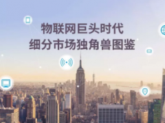 物聯(lián)網(wǎng)巨頭時代下細(xì)分市場獨(dú)角獸圖鑒