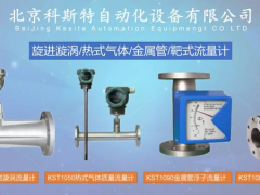 分析熱式氣體質(zhì)量流量計有具有那些優(yōu)缺點說明