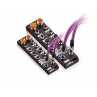 深圳歐利德儀器儀表分布式現(xiàn)場(chǎng)總線系統(tǒng)Lion--S