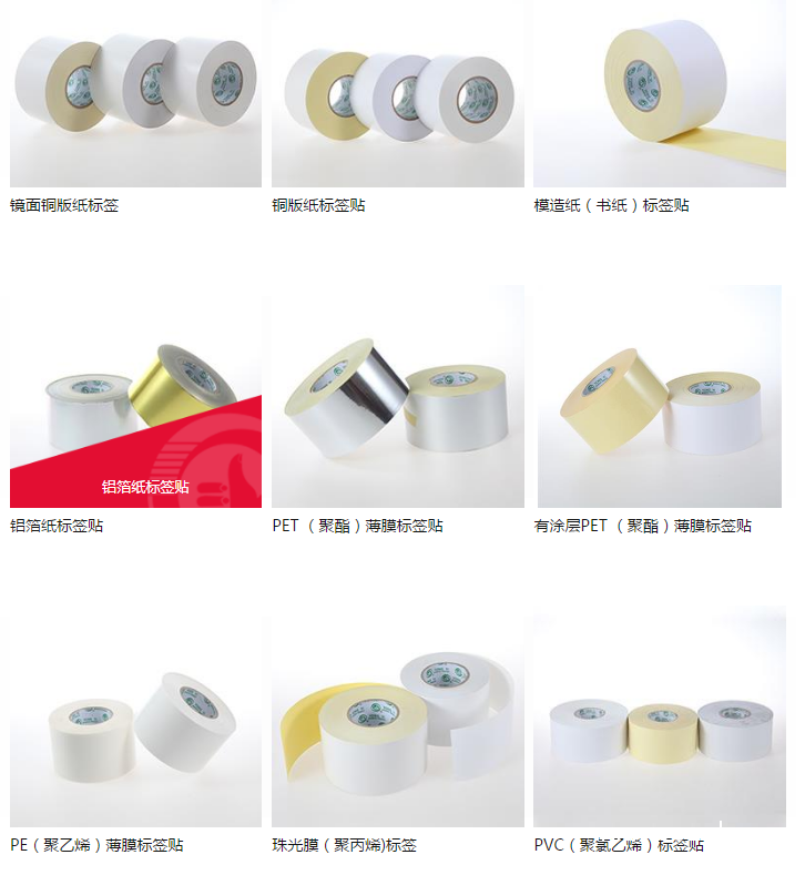 QQ圖片20190619103800