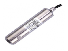 瑞德龍供應LMP636經(jīng)濟型投入式液位