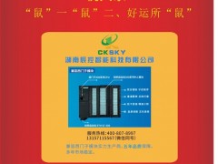 湖南辰控智能市場(chǎng)部經(jīng)理：肖婷2020新春寄語 一百零八星報(bào)喜之天巧星