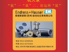 恩德斯豪斯自動(dòng)化儀表（E+H）李建2020新春寄語(yǔ) 一百零八星報(bào)喜之地飛星