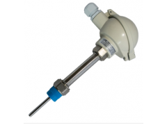 PS8000系列熱電偶 派晟廠家直銷