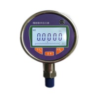 高精度數(shù)字壓力表