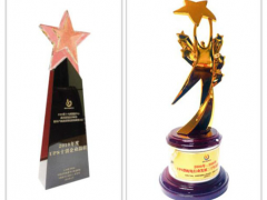 喜訊！英威騰電源獲得兩項UPS供配電系統(tǒng)行業(yè)發(fā)展榮譽