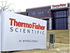 先放過芯片吧，中國這個行業(yè)可能更悲情