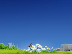 蘇州計(jì)量測(cè)試院到上海開(kāi)展“加油機(jī)暗訪”工作