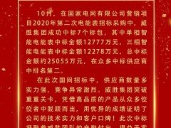 喜報 | 威勝集團成功中標電網(wǎng)項目超2.5億元！