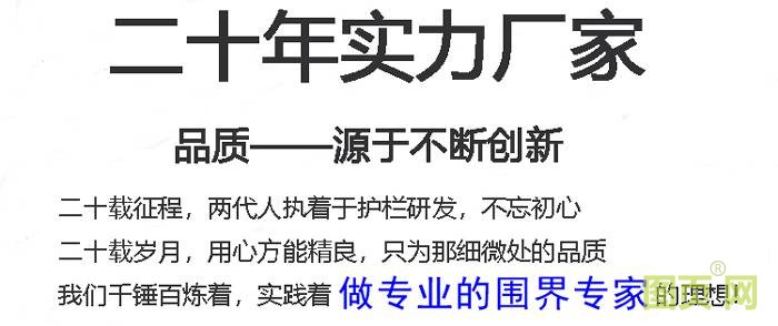 二十年實(shí)力廠家