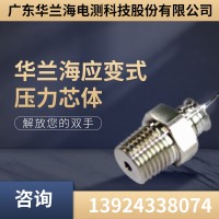 華蘭海應(yīng)變式壓力芯體