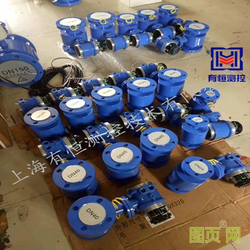 上海有恒電磁流量計 