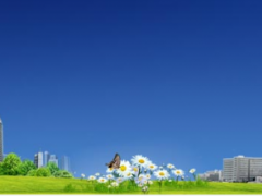 蘇州計(jì)量測(cè)試院“數(shù)字指示秤能力驗(yàn)證”取得滿意結(jié)果