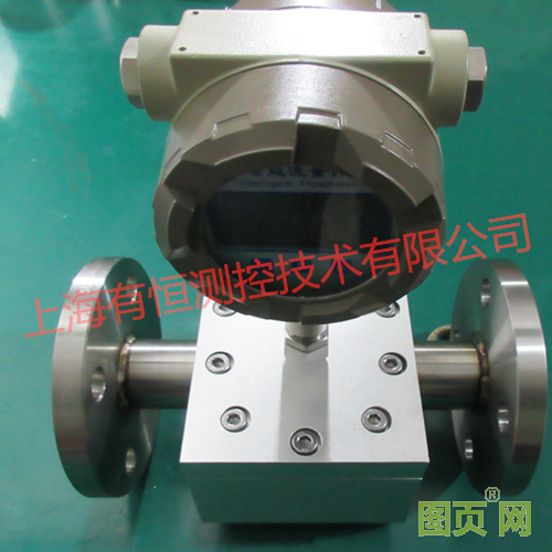 法蘭連接齒輪流量變送器_副本