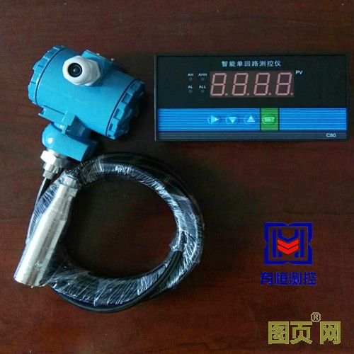 投入式液位計(jì)變送器 (3)_副本