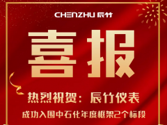 捷報鴻喜 辰竹儀表兩個標(biāo)段成功入圍2021年度中石化采購框架
