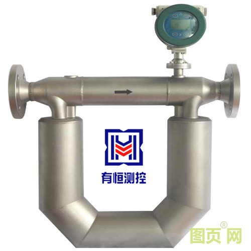 科里奧利質(zhì)量流量計(jì)