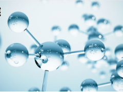 上海儀電科學儀器總酸及氨基態(tài)氮的全自動批量化測定